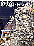 0690 2024-4